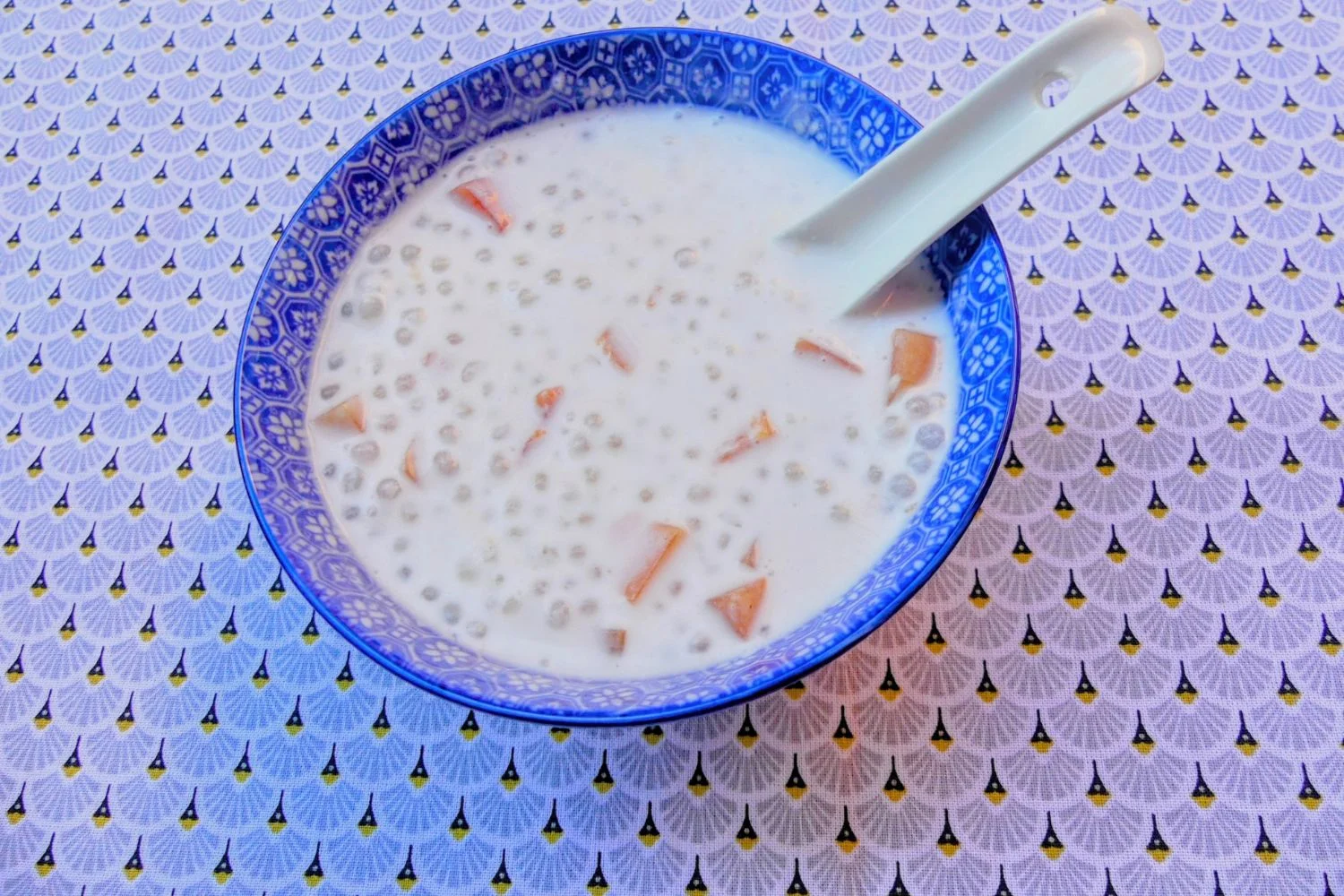 Soupe sucrée de tapioca et papaye illustration